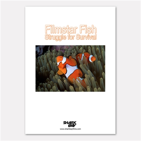 Fourth Element Saving Nemo DVD