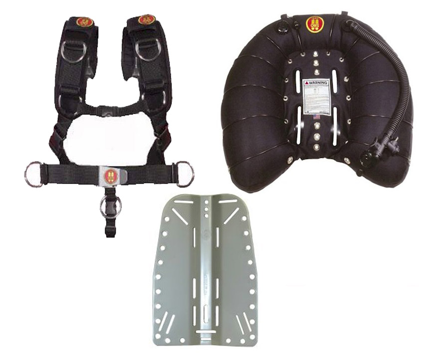 45lb SINGLE WING + COMFORT HARNESS + ALI B/PLATE