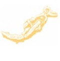 9ct Gold Charms