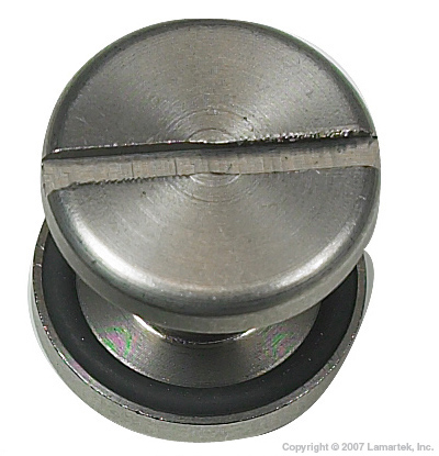 DiveRite S/S Assembly Screw (pair)