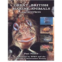 DR PAUL NAYLOR - GREAT BRITISH MARINE ANIMALS