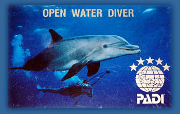 Learn to Dive