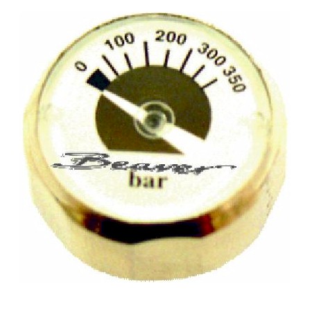 GA IND - BEAVER INDICATOR GAUGE