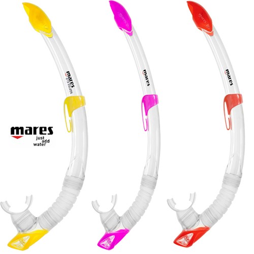 Snorkelling Snorkels