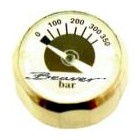 Beaver Indicator Gauge