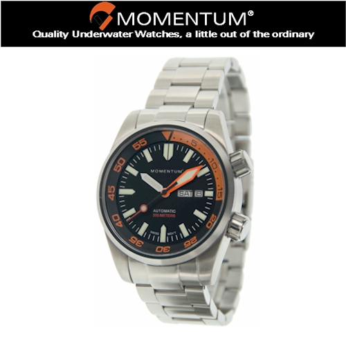 Momentum Innerspace S/S Watch