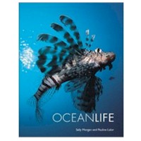 SALLY MORGAN & PAULINE LALOR OCEANLIFE