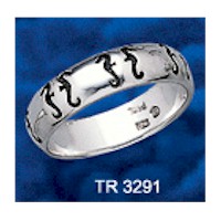 DIVESILVER TR3291 SOLID RING  IN STOCK