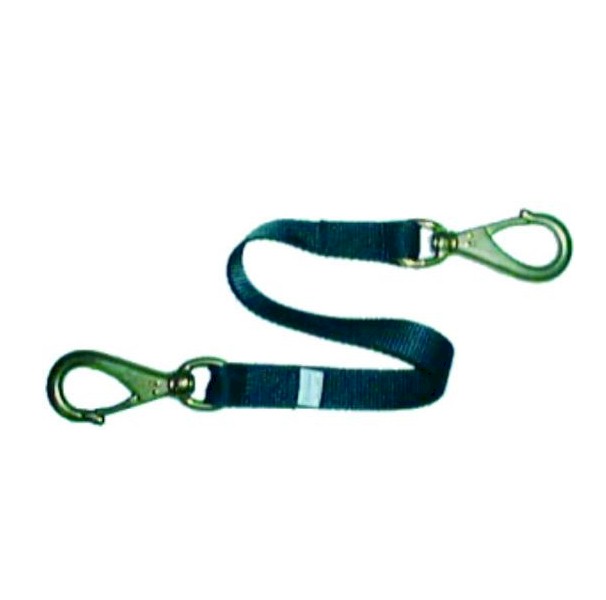 Beaver 18 in LANYARD-LY2