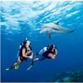 Open Water