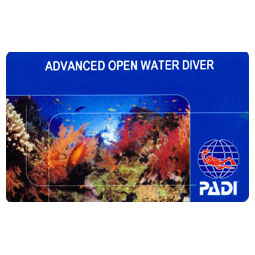 Continue Diving