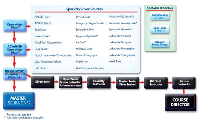 Diving Courses