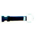 Beaver Large Split Ring & Female Buckle WA19