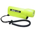 Beaver Solar LED