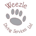 Weezle Undersuits