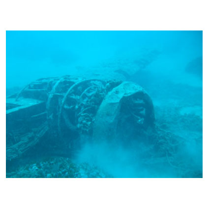 PADI Speciality Wreck Diver